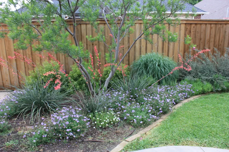 Frisco, Texas Landscaping Services