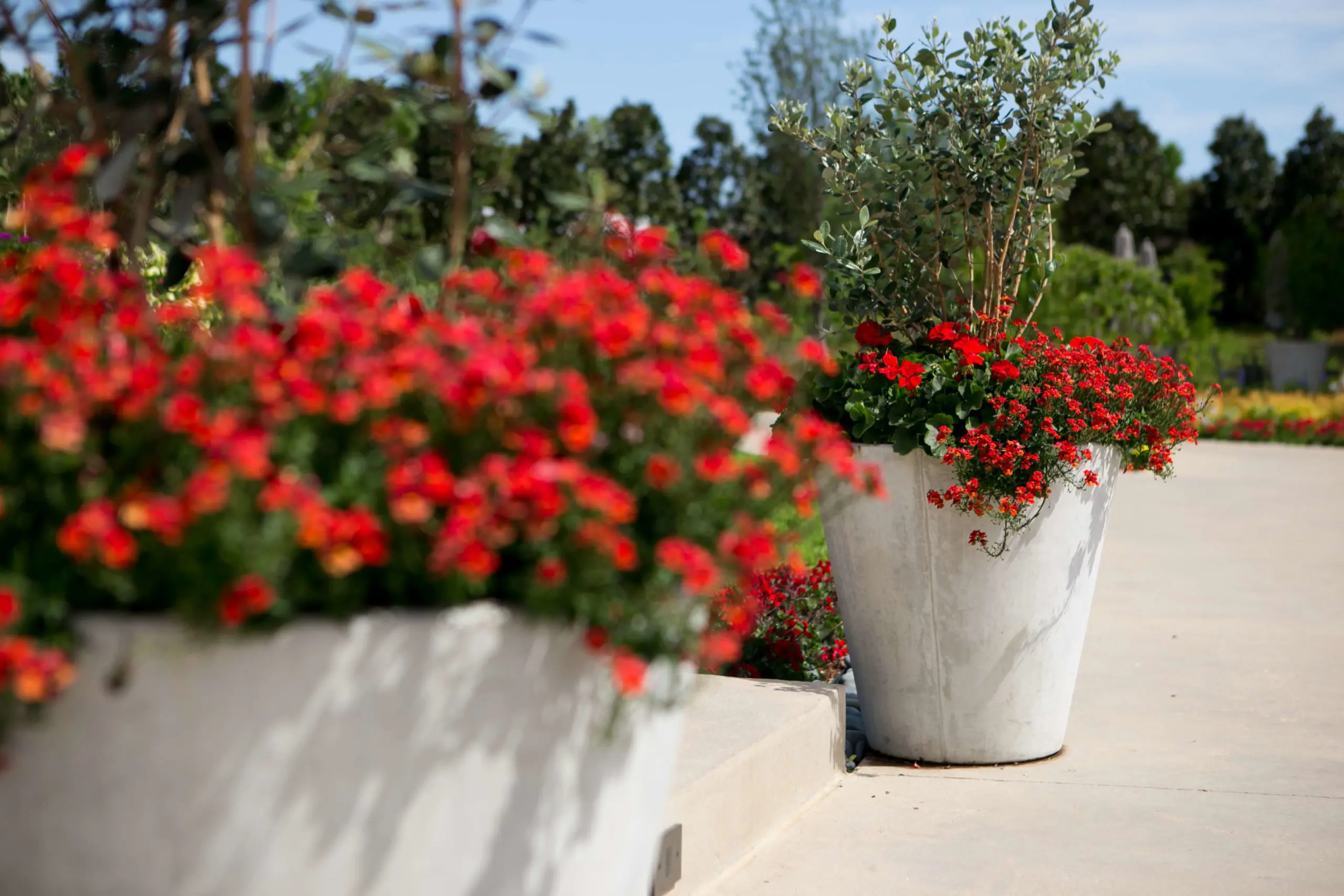 Frisco, Texas Cast Stone