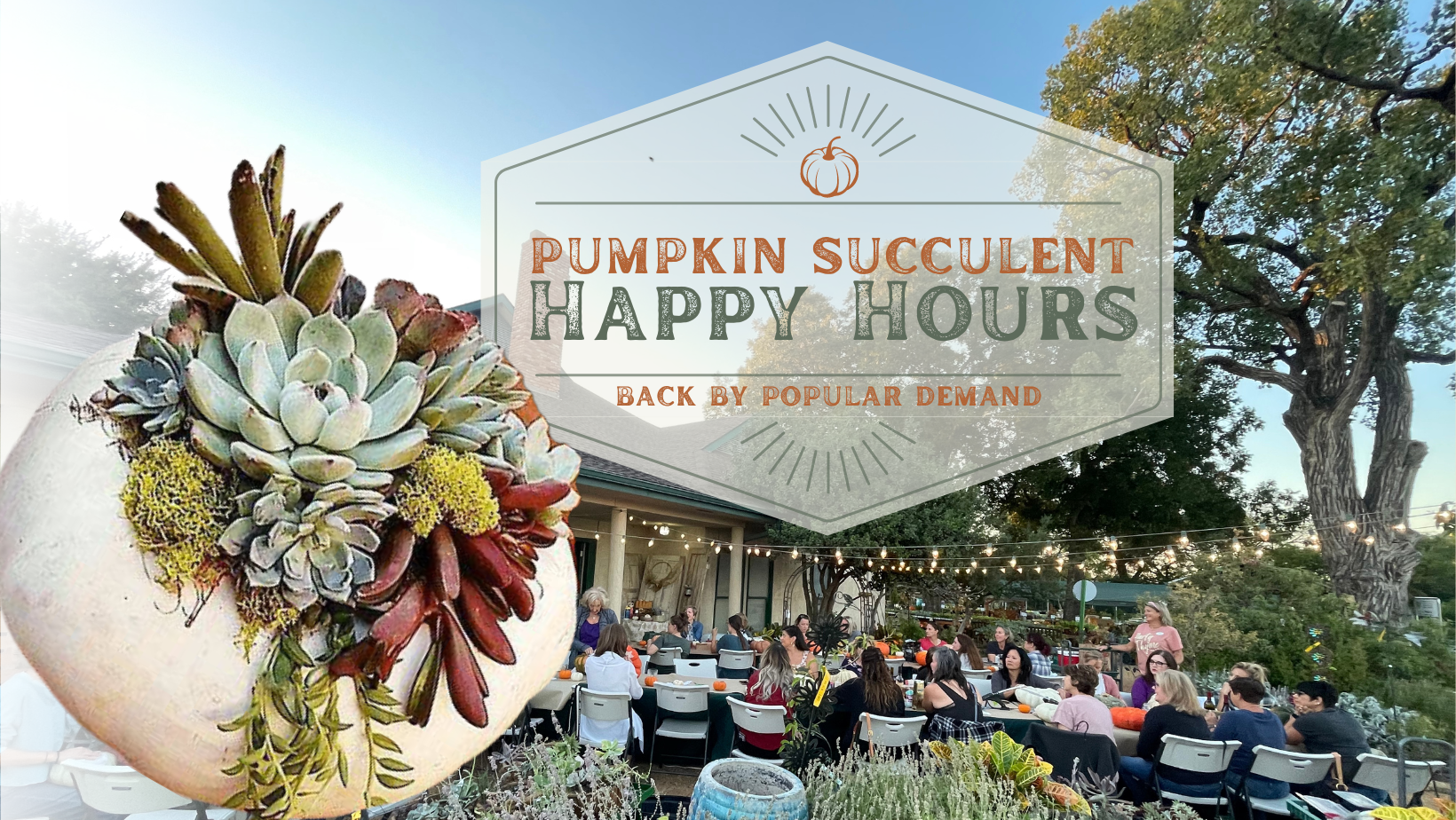 Pumpkin Succulent Happy Hour