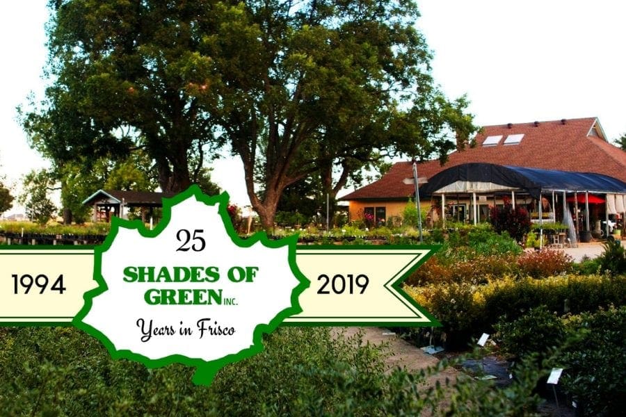 Garden Center In Frisco Call Shades of Green Today