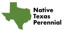 Texas Native Perennial