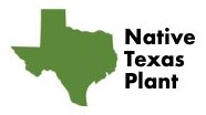 Texas Native Plant