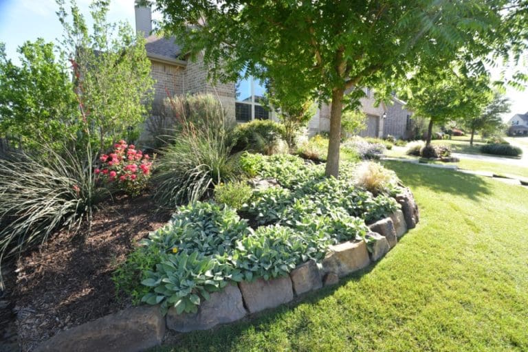 Expect Excellence from Our Frisco, TX Landscaping Services