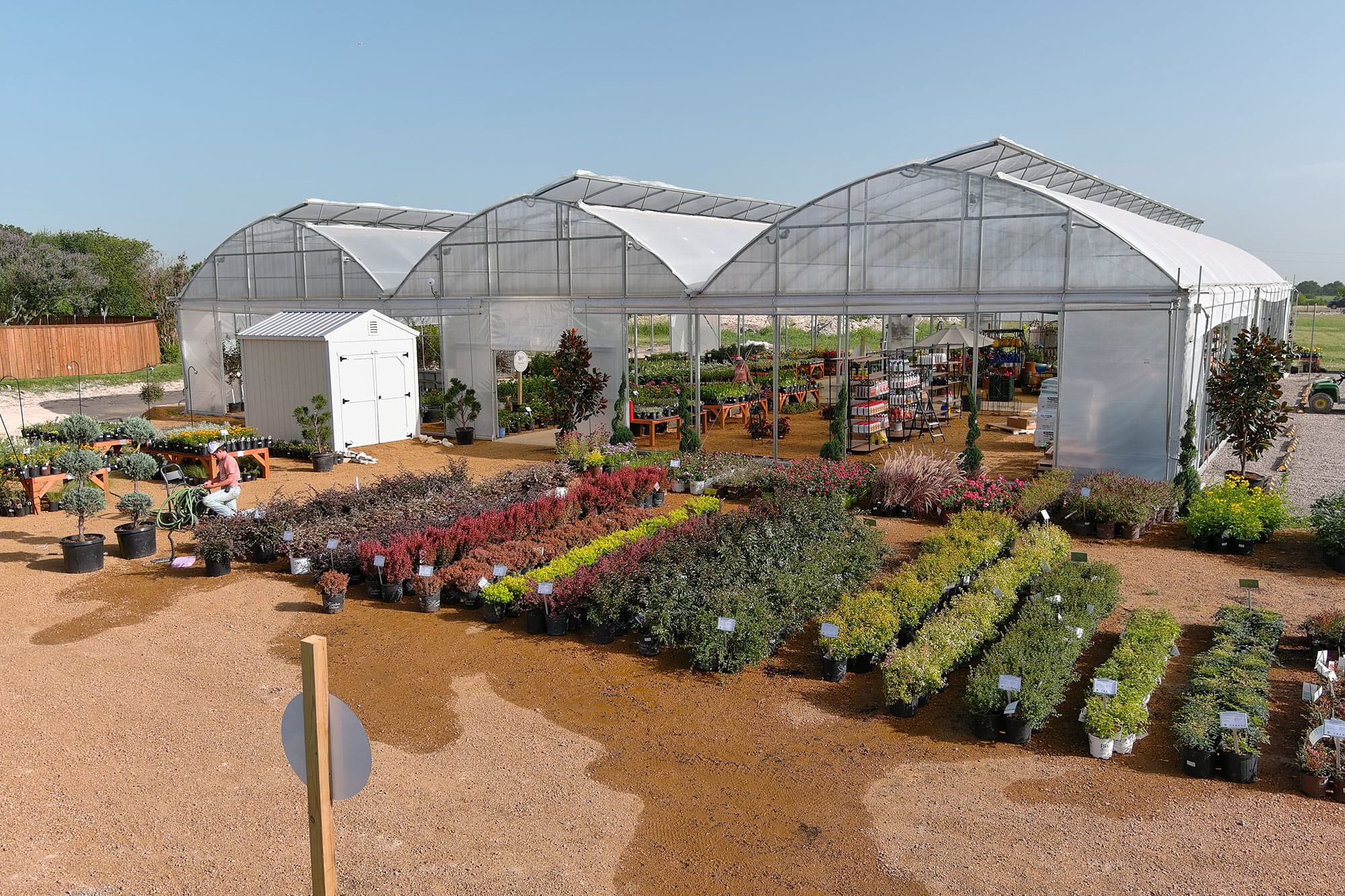 Celena-TX-Plant-Nursery