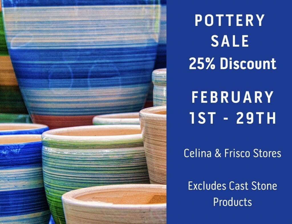 Events   2024 02 01 Pottery 1024x786 