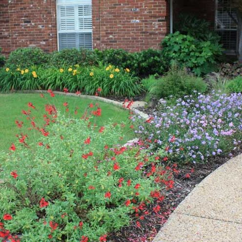 Sustainble Landscaping Services in Frisco, Texas