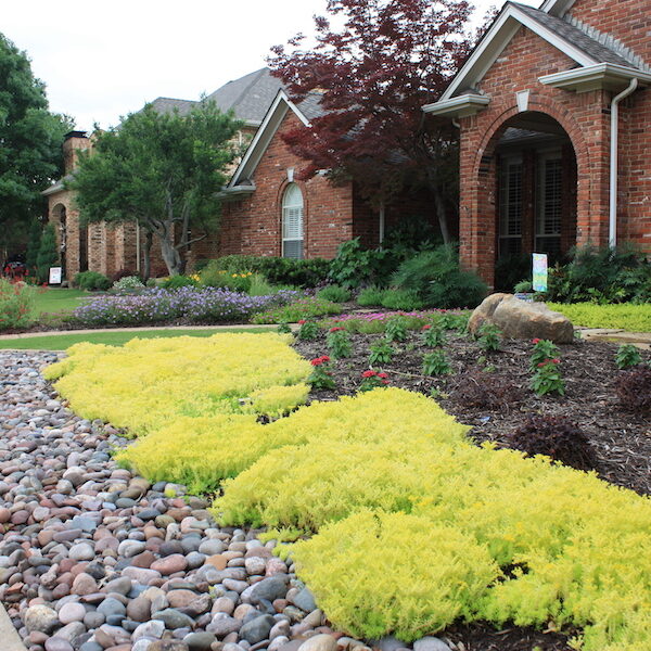 Frisco, Texas Landscaping Services