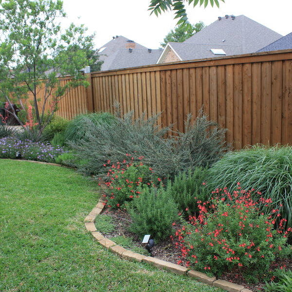 Frisco, Texas Landscaping Services